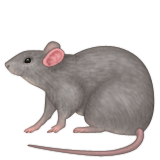 Emoji Natur-43